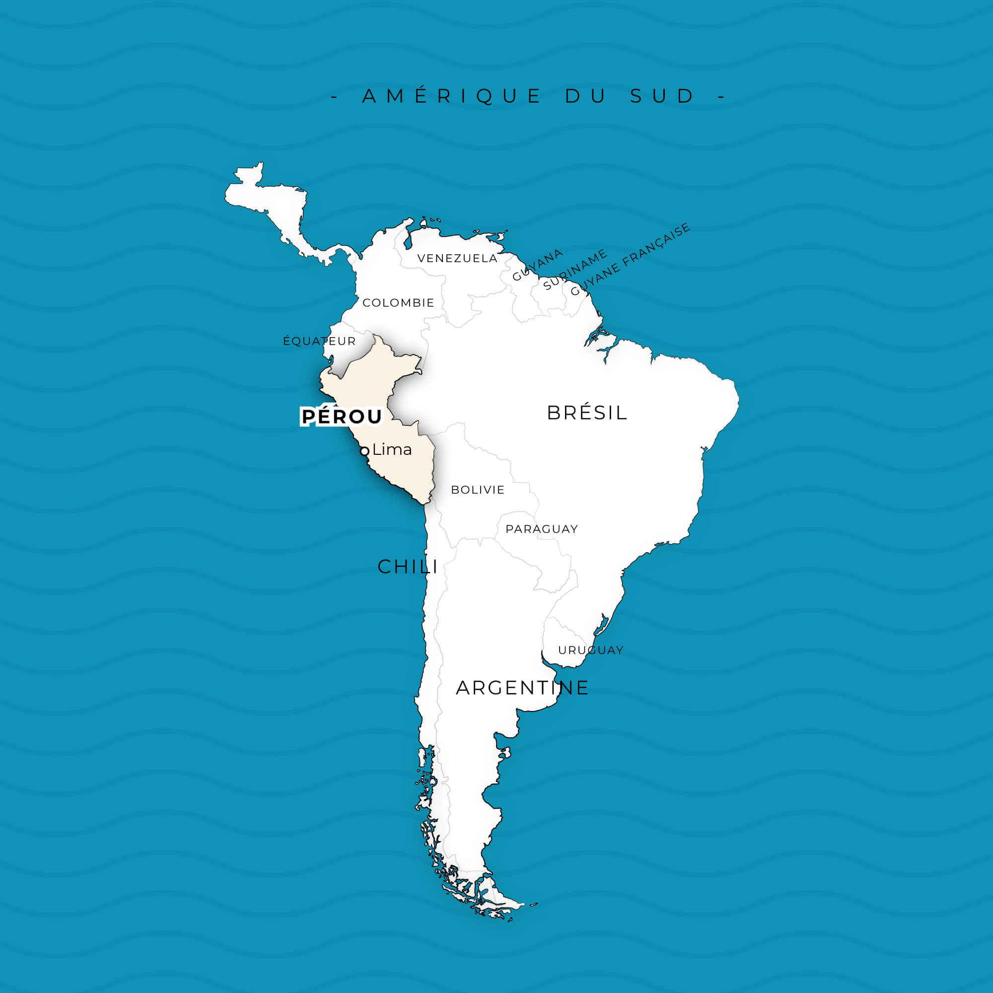 Cartographie - Création de cartes illustrées créatives - Ici une carte de l'Amérique du Sud © Kalao Studio