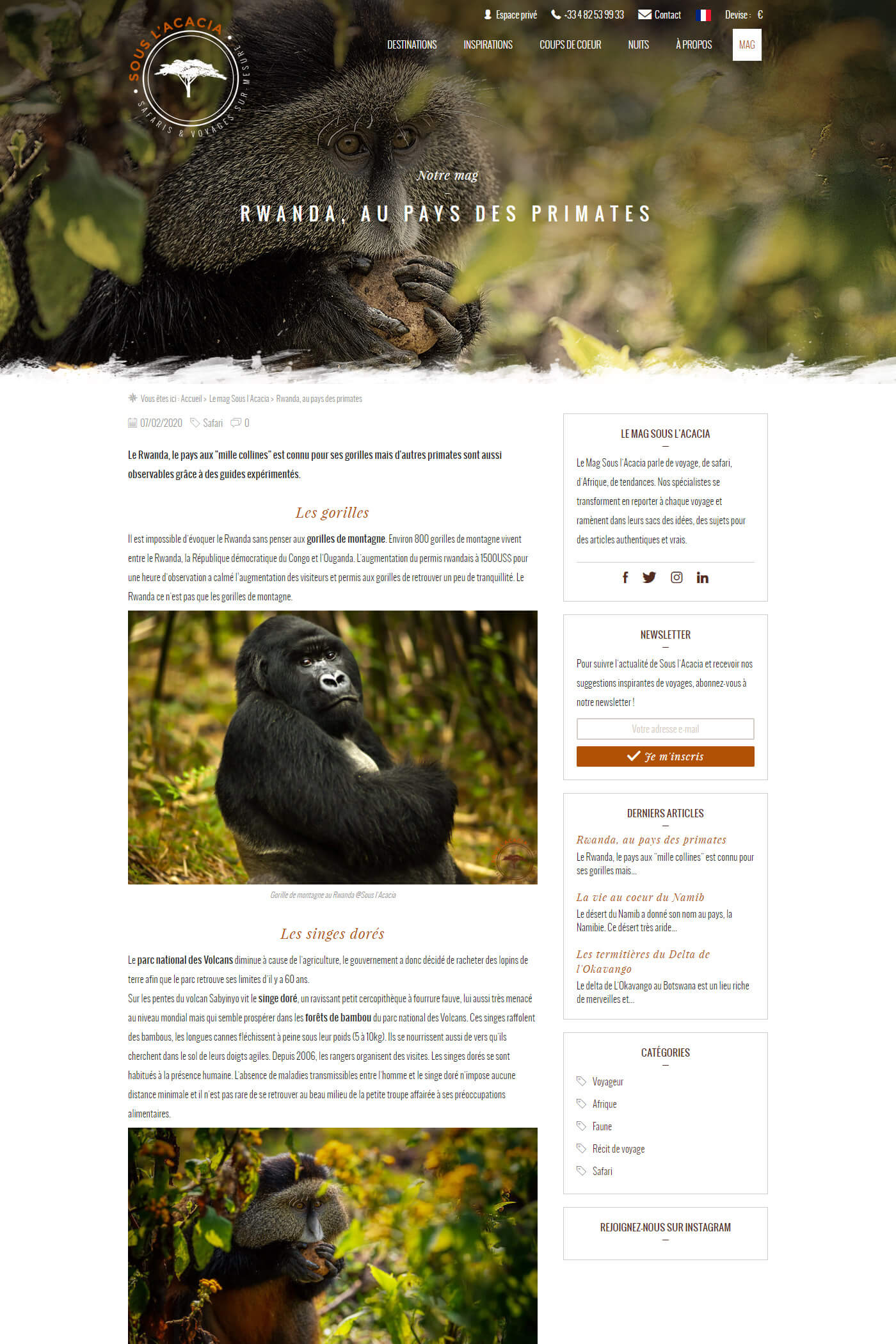 Sous l'Acacia : blog - Réalisation d'un site Internet pour une agence de safaris et voyages sur-mesure en Afrique